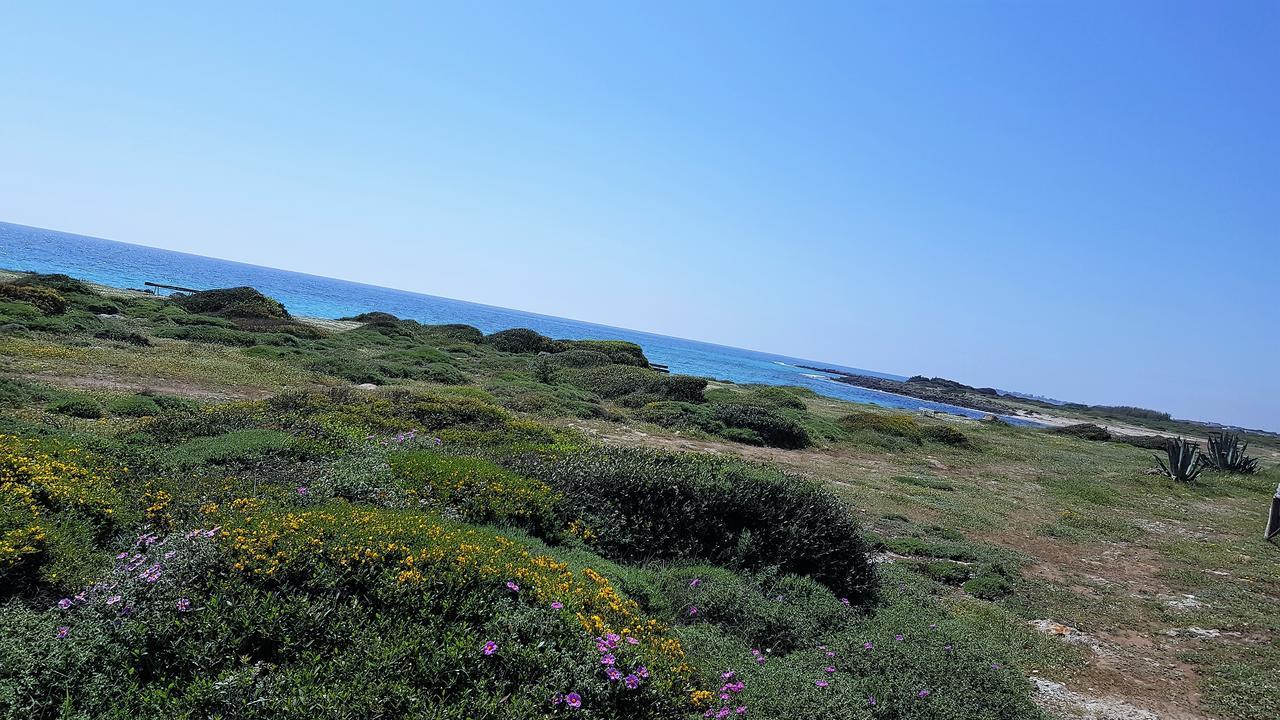 포르토 세자레오 Punta Prosciutto Gma Tourism 빌라 외부 사진